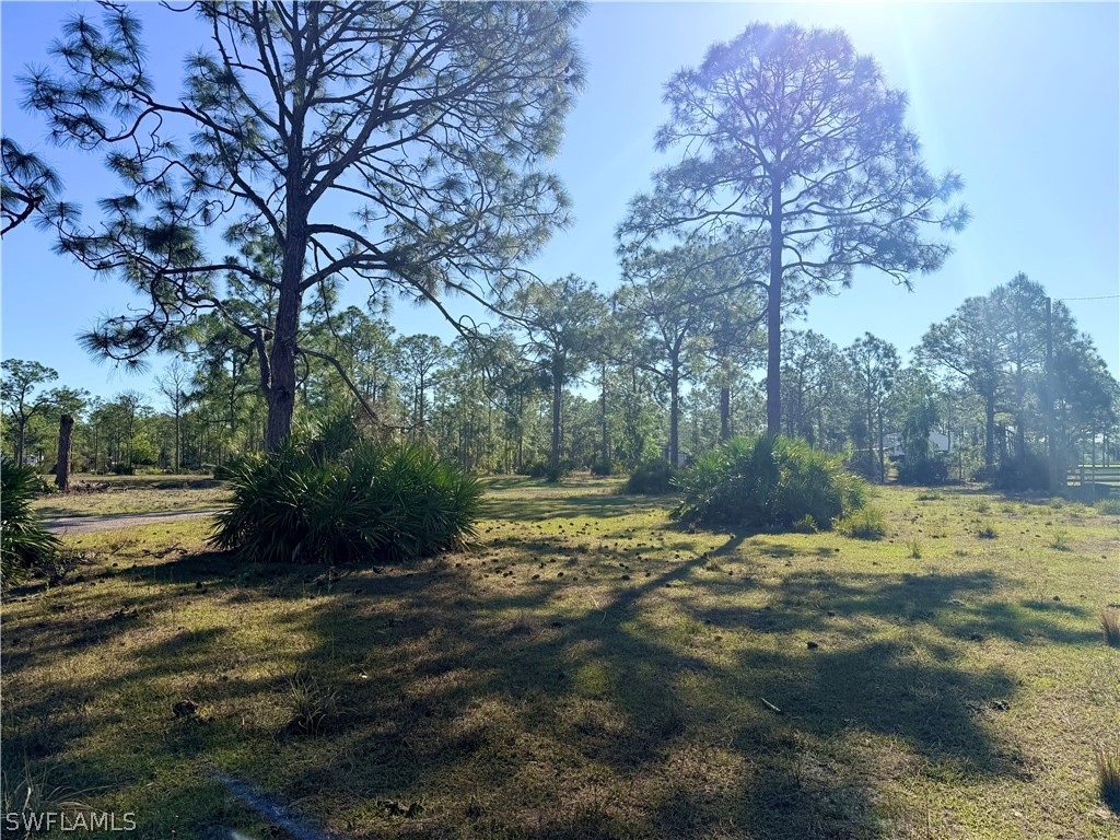 21151 Hidden Woods Trail Estero FL 33928 226010753 image5