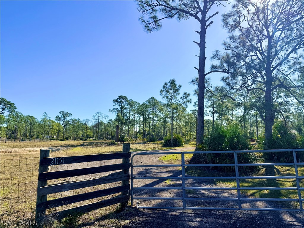 21151 Hidden Woods Trail Estero FL 33928 226010753 image6