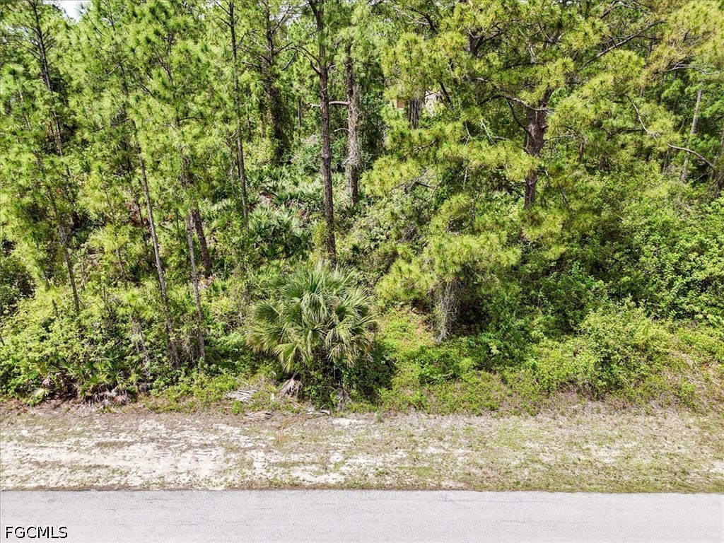 2117 Grayson Avenue Alva FL 33920 2026016367 image15