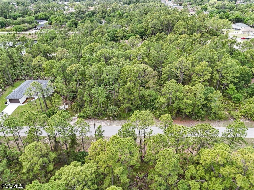 2117 Grayson Avenue Alva FL 33920 2026016367 image18