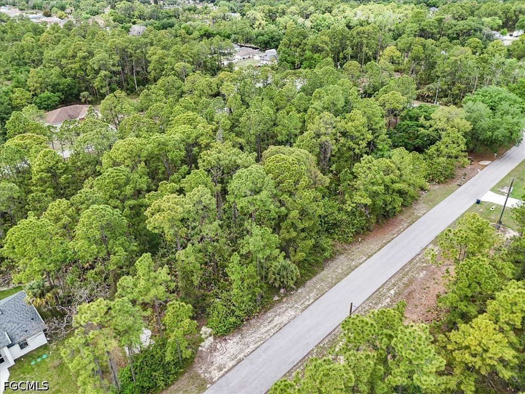 2117 Grayson Avenue Alva FL 33920 2026016367 image19