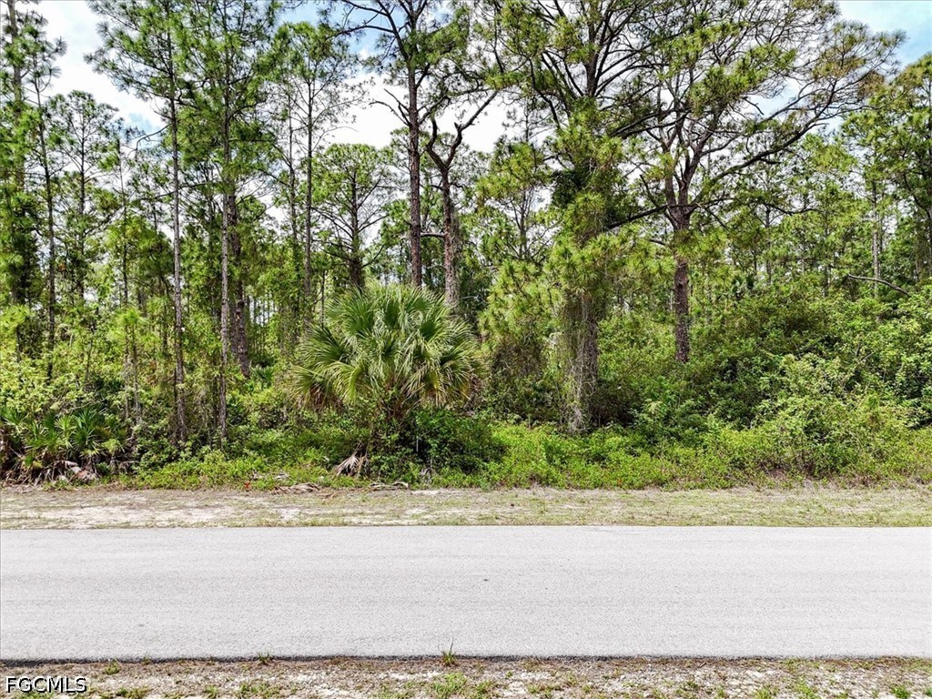 2117 Grayson Avenue Alva FL 33920 2026016367 image2