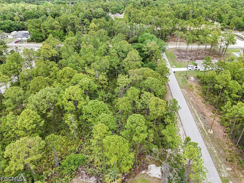 2117 Grayson Avenue Alva FL 33920 2026016367 image20