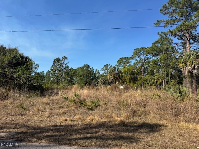 2117 Moore Avenue Alva FL 33920 2026003711 image1