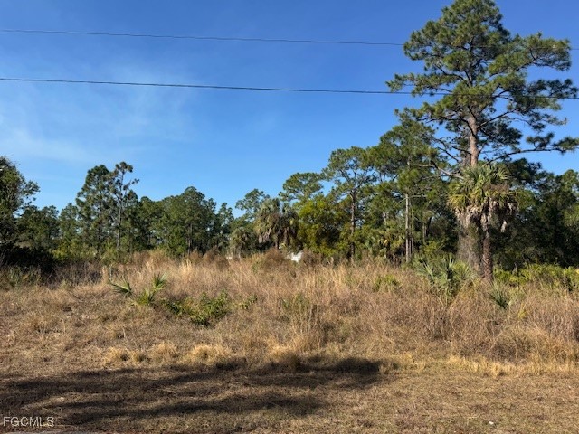 2117 Moore Avenue Alva FL 33920 2026003711 image2