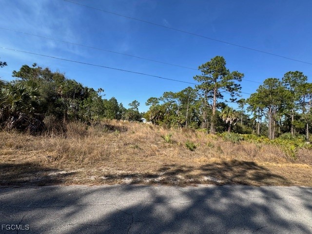 2117 Moore Avenue Alva FL 33920 2026003711 image4
