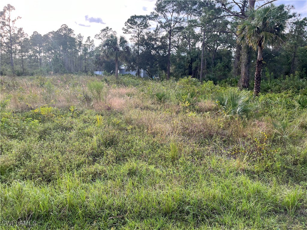 2117 Moore Avenue Alva FL 33920 224086412 image1