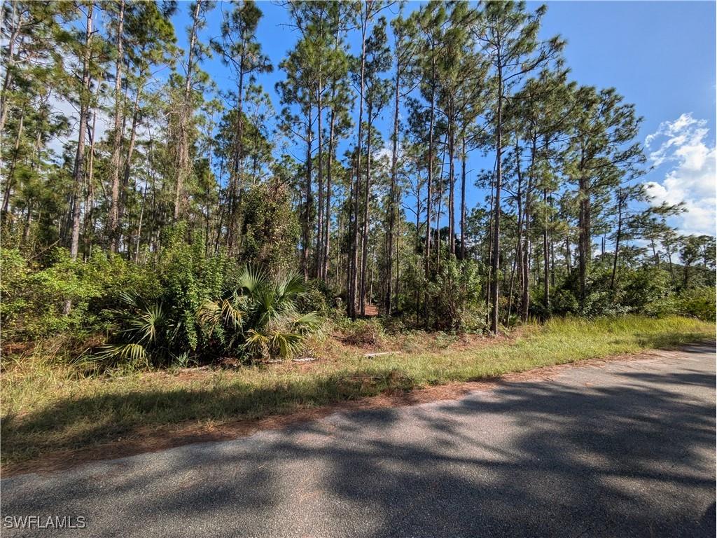 2118 Louis Avenue Alva FL 33920 225021772 image1