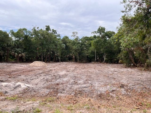 2119 Abbott Avenue Alva FL 33920 224104589 image1