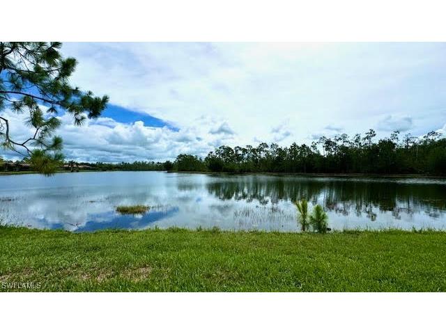 21197 Bella Terra Boulevard Estero FL 33928 225058811 image18