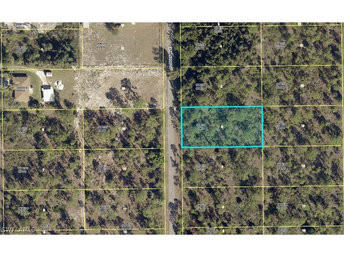 212 Louis Avenue Lehigh Acres FL 33936 222082286 image1