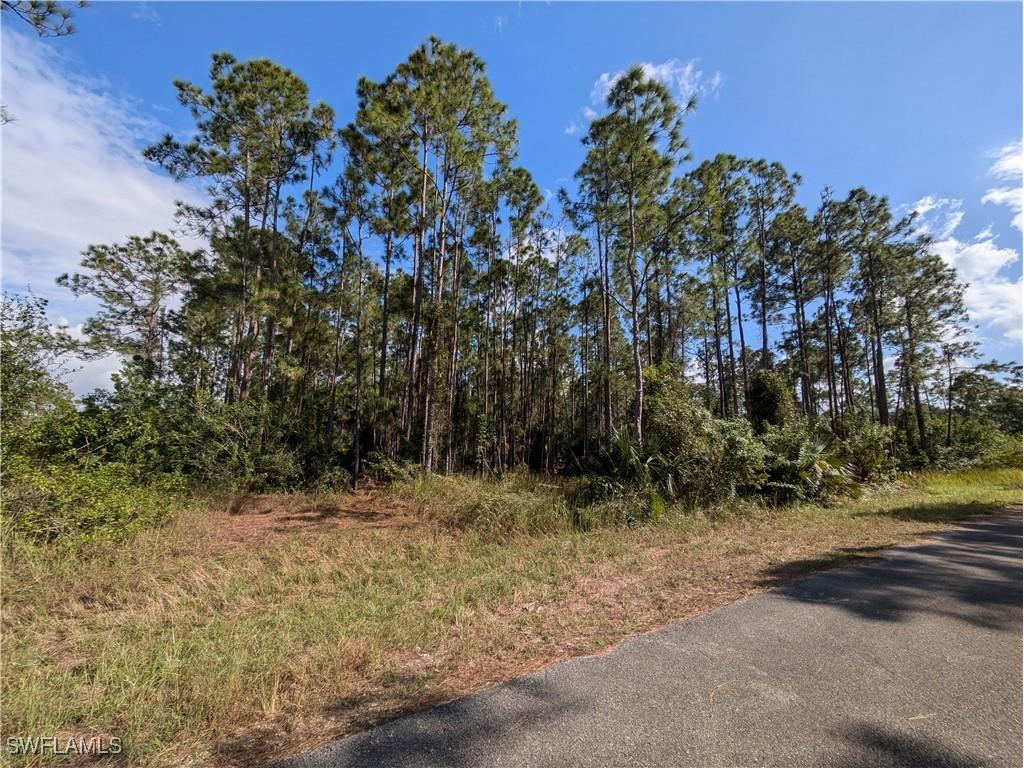 2120 Louis Avenue Alva FL 33920 225021773 image1