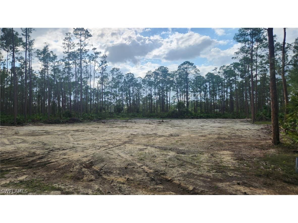 2121 Columbus Avenue Alva FL 33920 222089608 image1