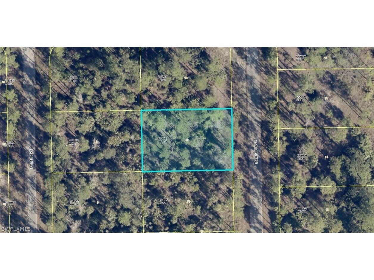 2121 Jackson Avenue Alva FL 33920 223093661 image1