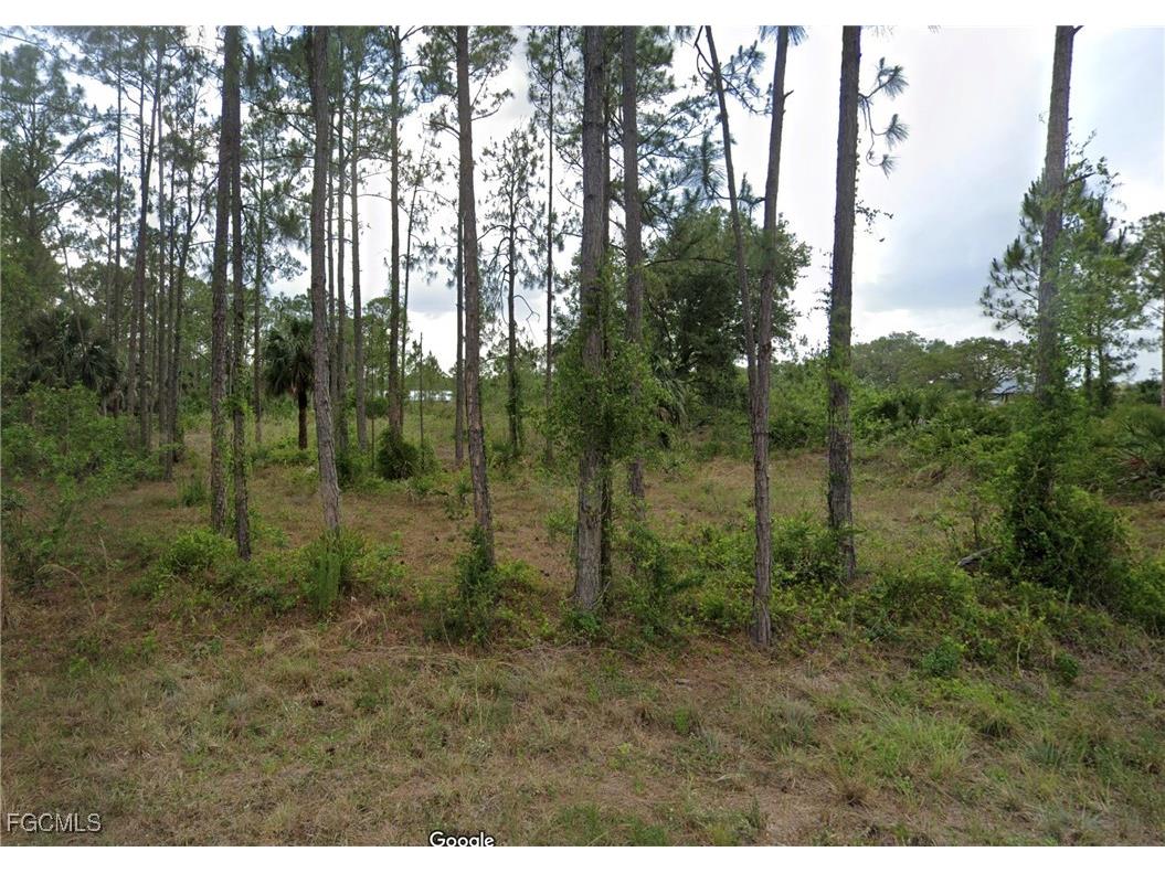 2121 Scott Avenue Alva FL 33920 2025009831 image1