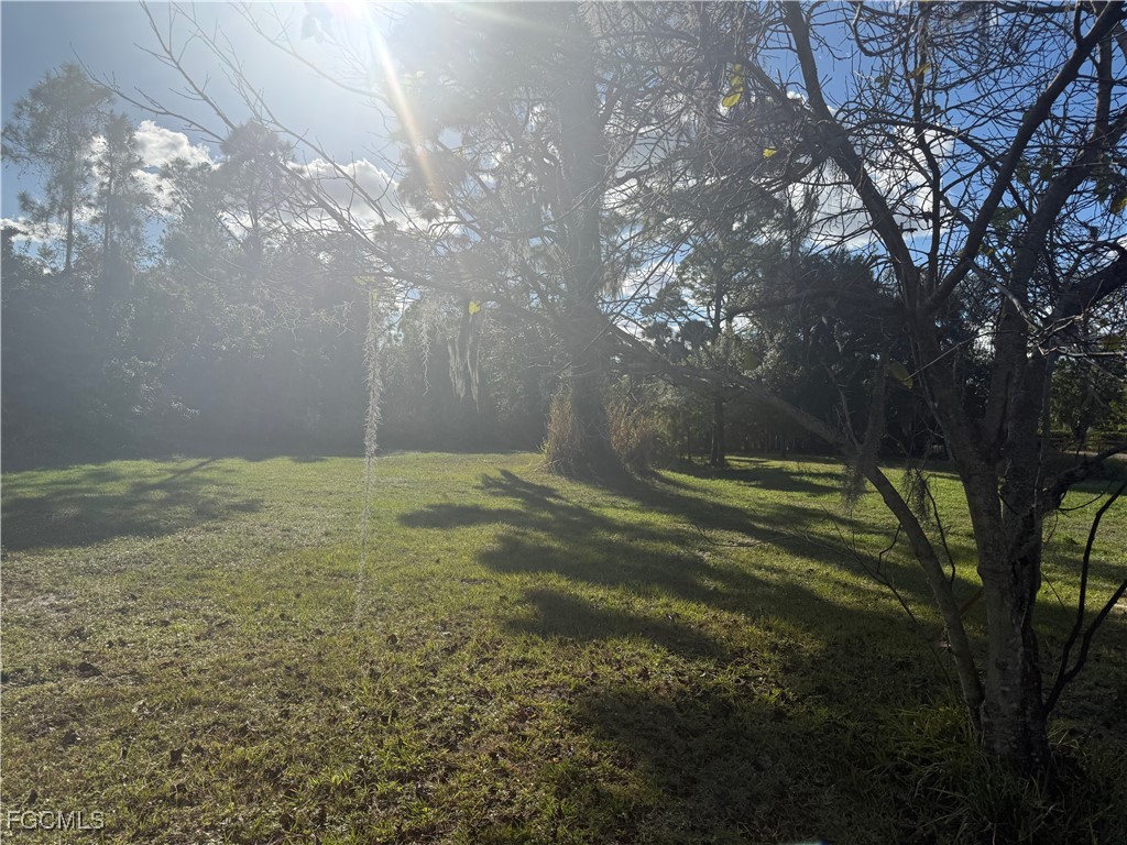 21219 N River Road Alva FL 33920 2025025038 image1