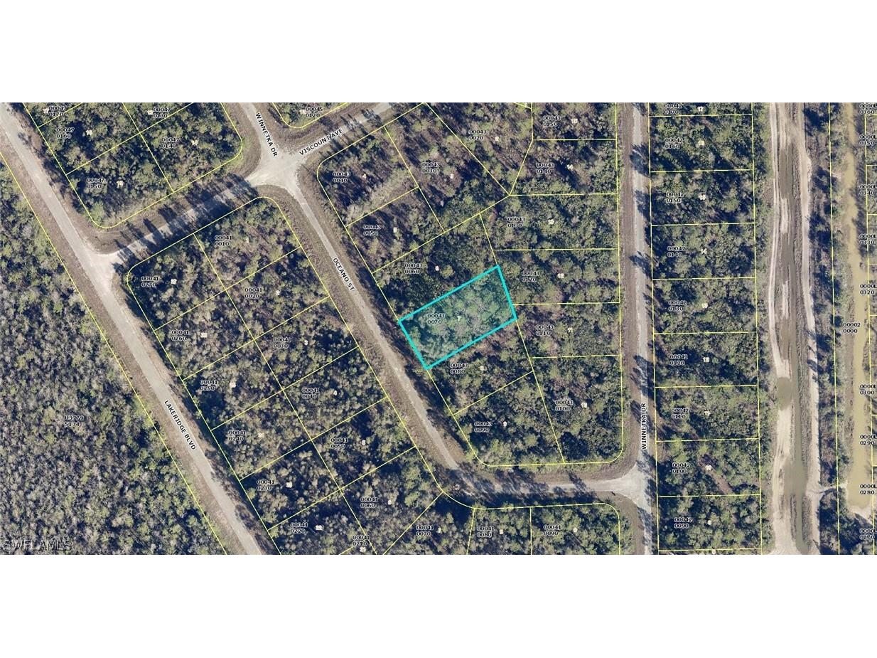2124 Oceano Street Lehigh Acres FL 33972 223032424 image1