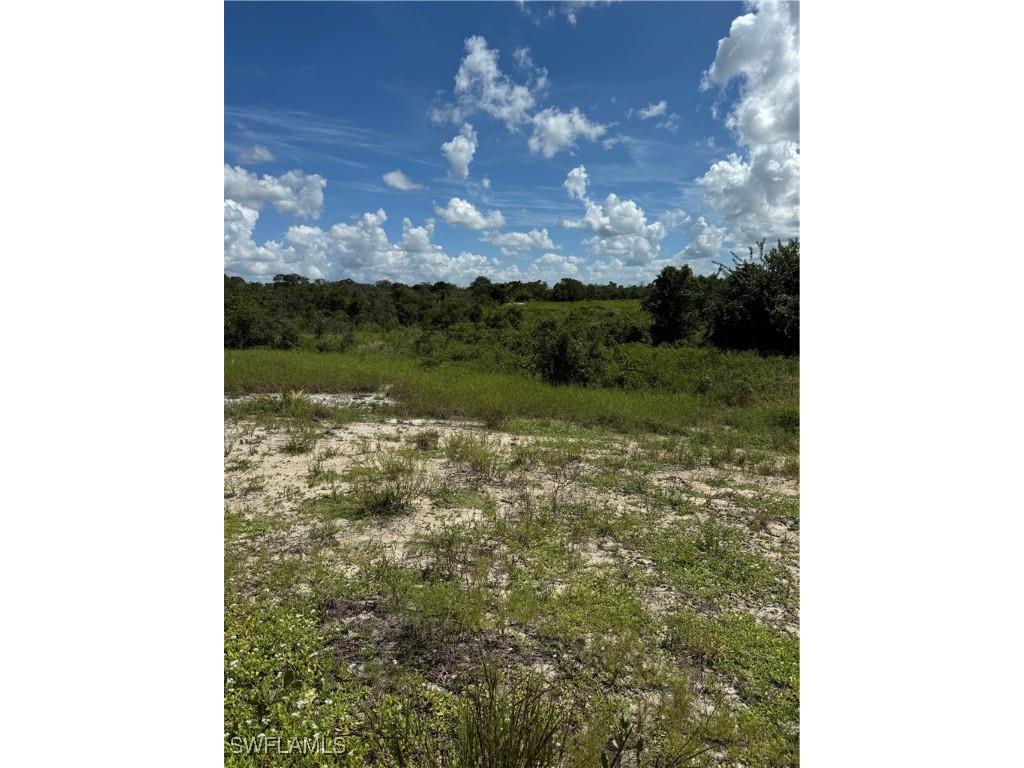 213 Polk Street Lake Placid FL 33852 224073983 image1