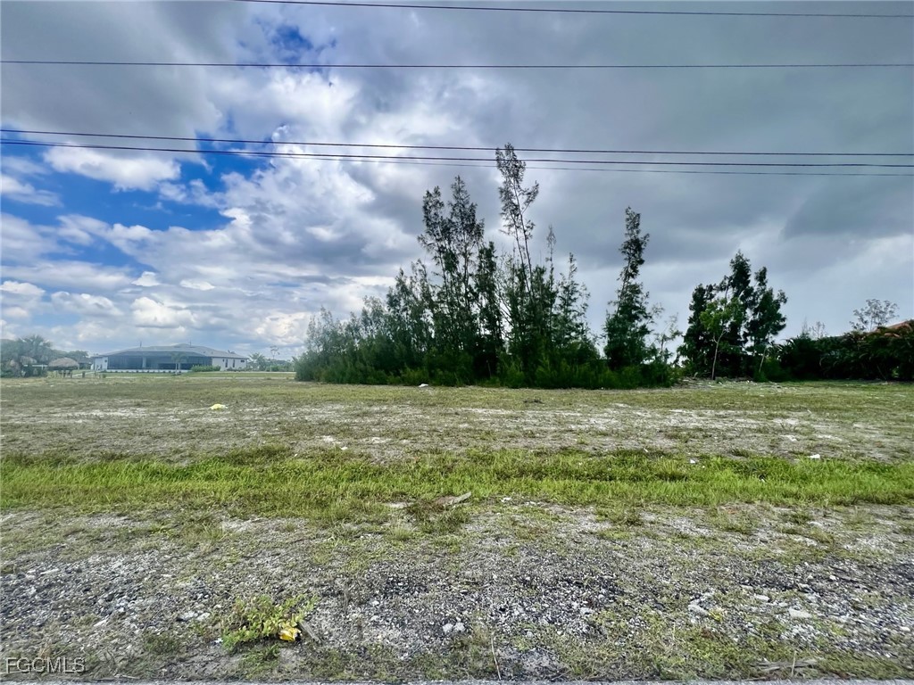 2131 Old Burnt Store Road N Cape Coral FL 33993 2025004219 image4