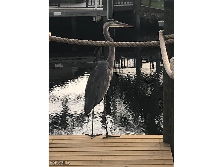 2131 Saint Croix Avenue Fort Myers FL 33905 225063048 image45