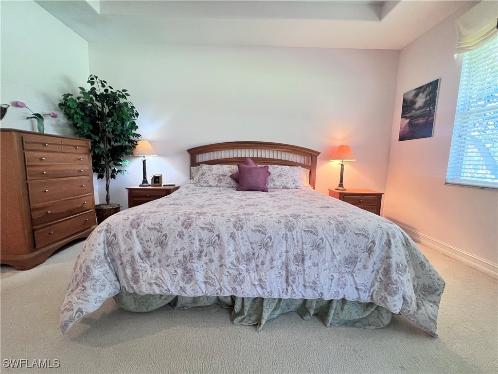 21341 Pelican Sound Drive #203 Estero FL 33928 226004025 image11