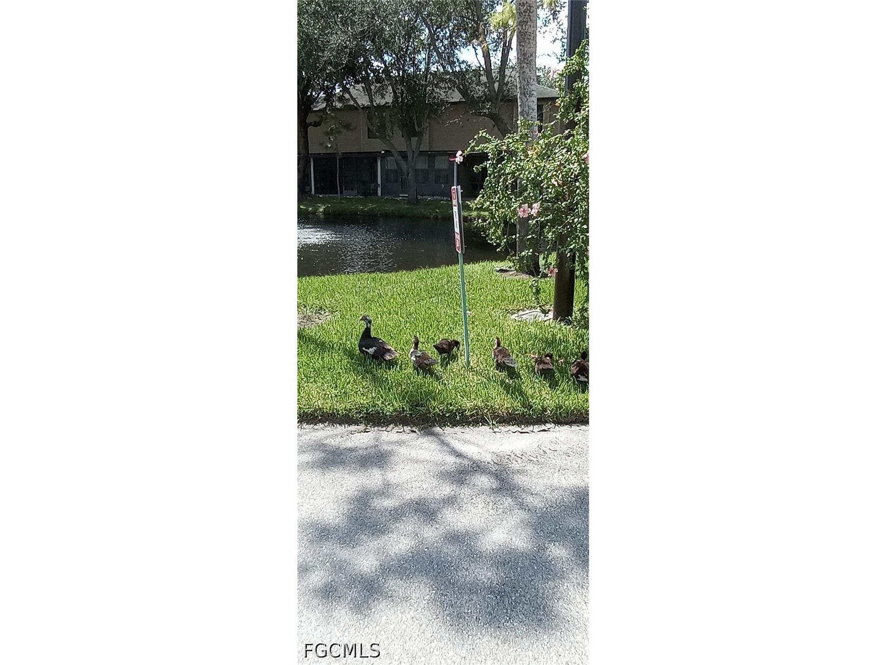 2135 Crystal Drive #45 Fort Myers FL 33907 2026016870 image8