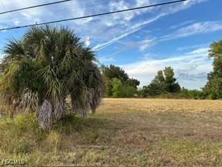 2137 NE 25th Terrace Cape Coral FL 33909 2025019600 image2