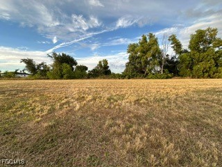 2137 NE 25th Terrace Cape Coral FL 33909 2025019600 image3