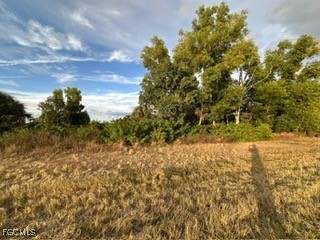 2137 NE 25th Terrace Cape Coral FL 33909 2025019600 image5