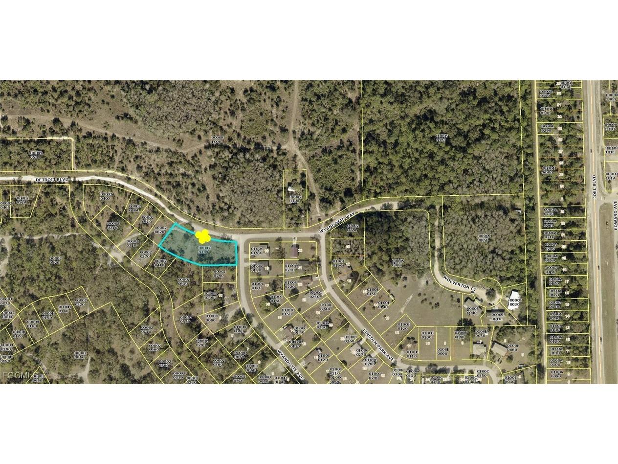 2138 Wyandotte Avenue Alva FL 33920 2025007784 image1