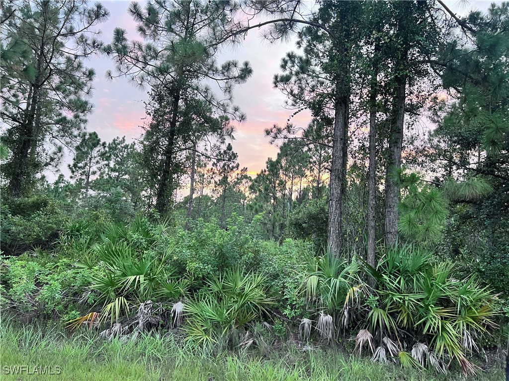 214 Louis Avenue Lehigh Acres FL 33936 224068353 image1