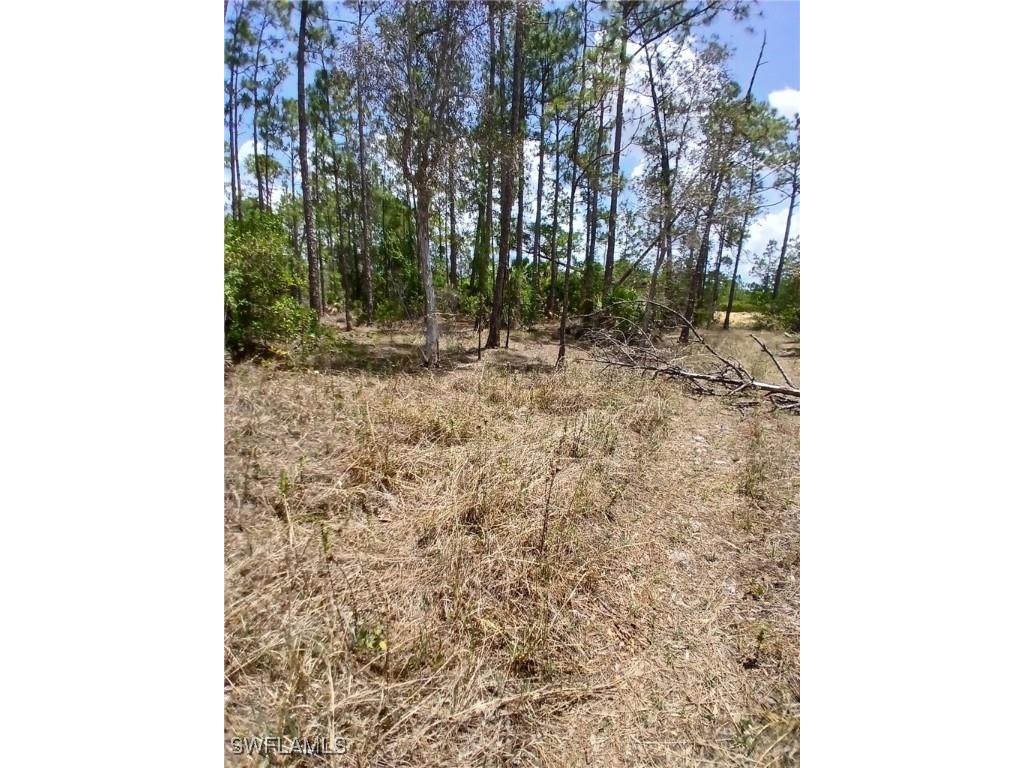 2142 Winnetka Drive Lehigh Acres FL 33972 225061303 image2