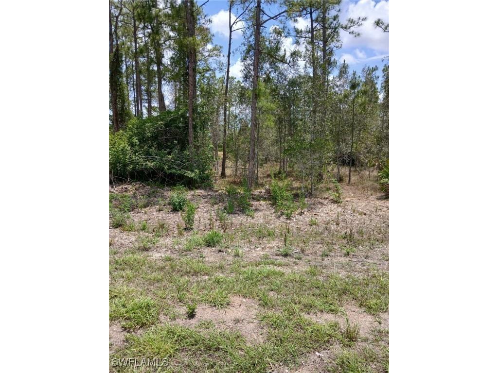 2142 Winnetka Drive Lehigh Acres FL 33972 225061303 image3