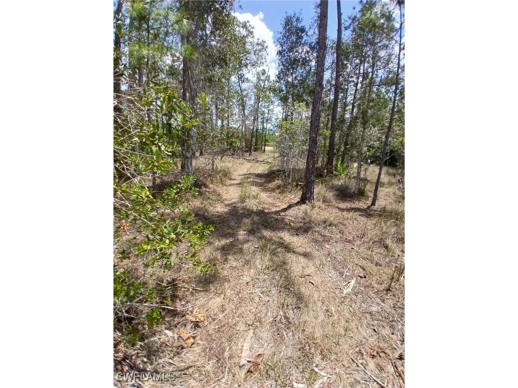 2142 Winnetka Drive Lehigh Acres FL 33972 225061303 image4