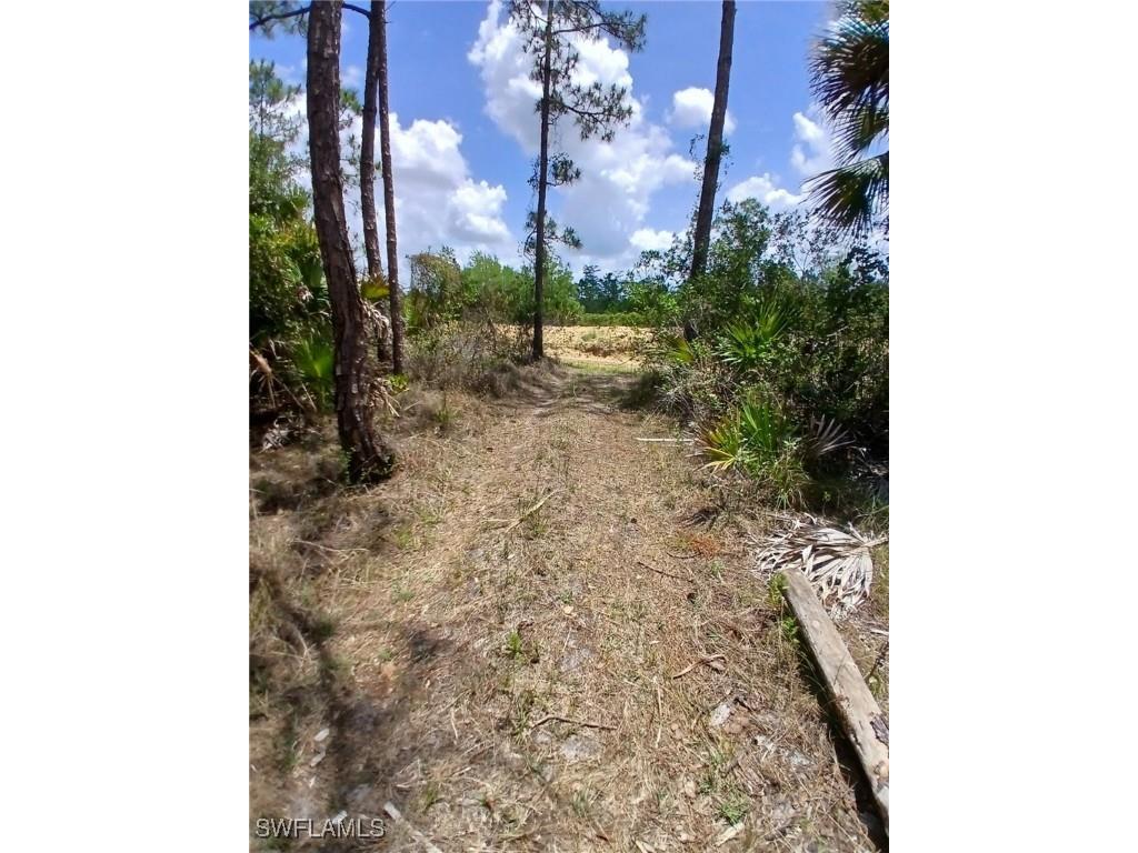 2142 Winnetka Drive Lehigh Acres FL 33972 225061303 image5