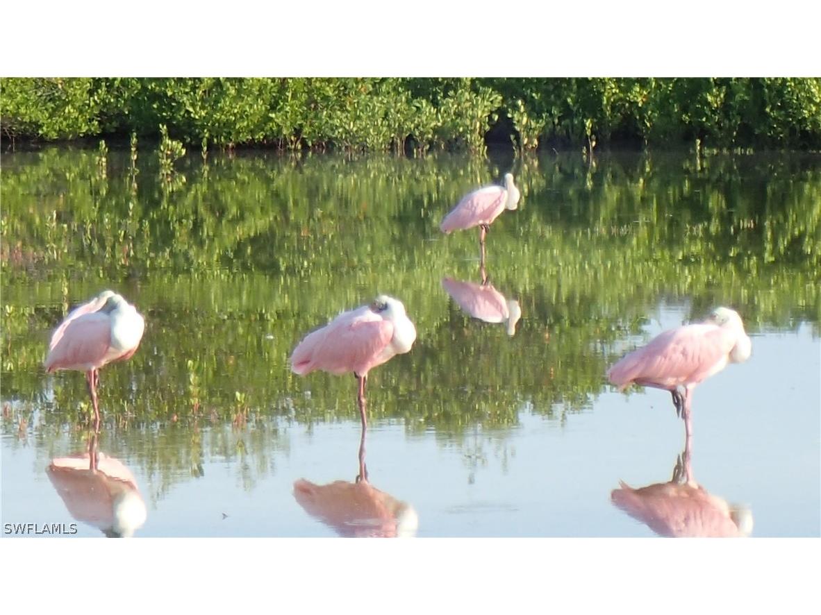 21420 Bay Village Drive #216 Fort Myers Beach FL 33931 226004645 image32