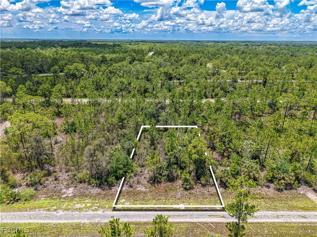 2145 Viscount Avenue Lehigh Acres FL 33972 2025013049 image4