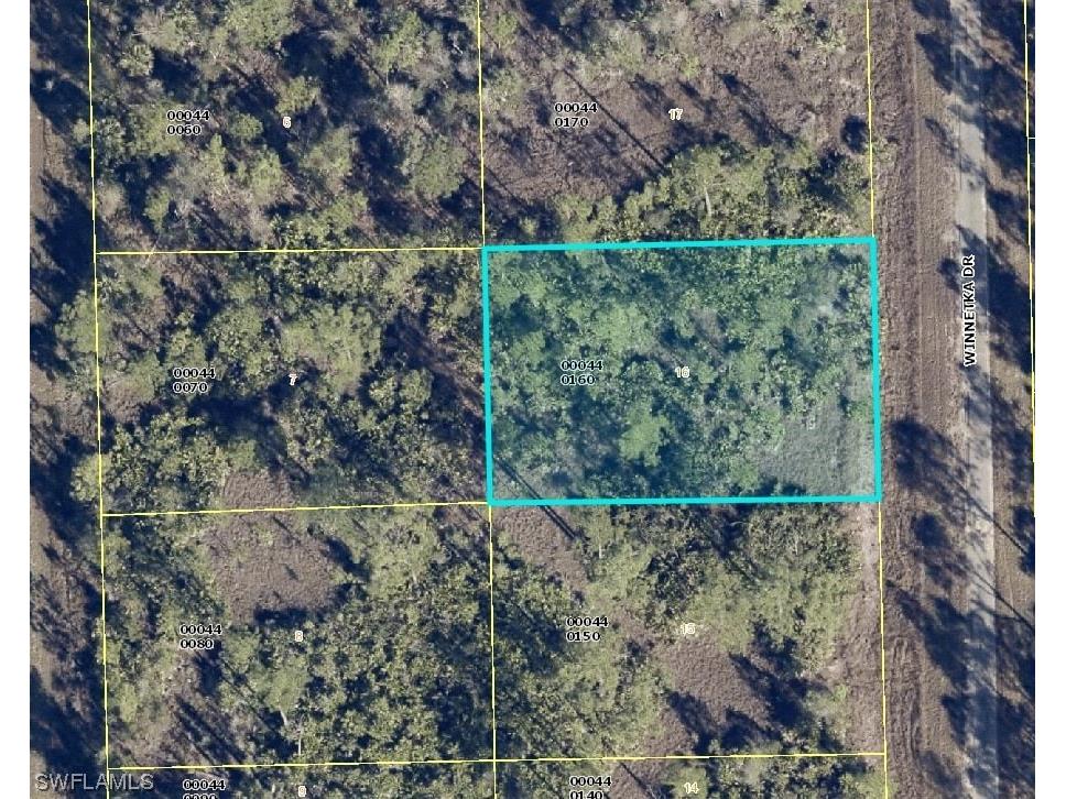 2145 Winnetka Drive Lehigh Acres FL 33972 223032260 image1