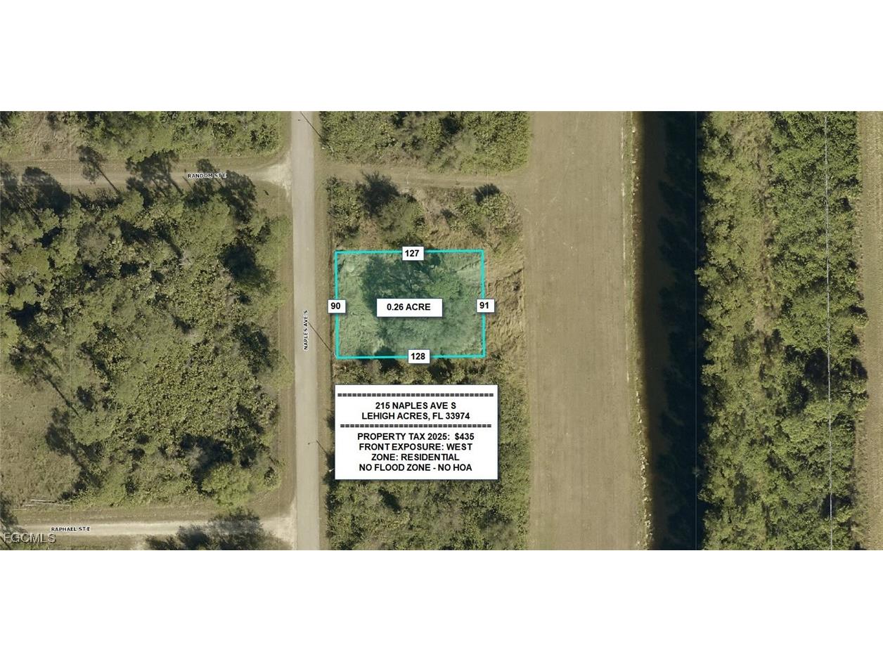 215 Naples Avenue S Lehigh Acres FL 33974 2026005508 image1