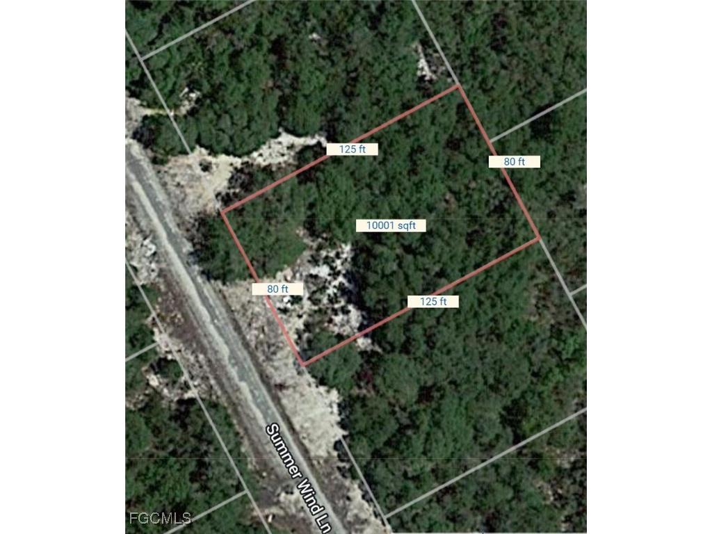 215 Summer Wind Lane Lake Placid FL 33852 2026003978 image1