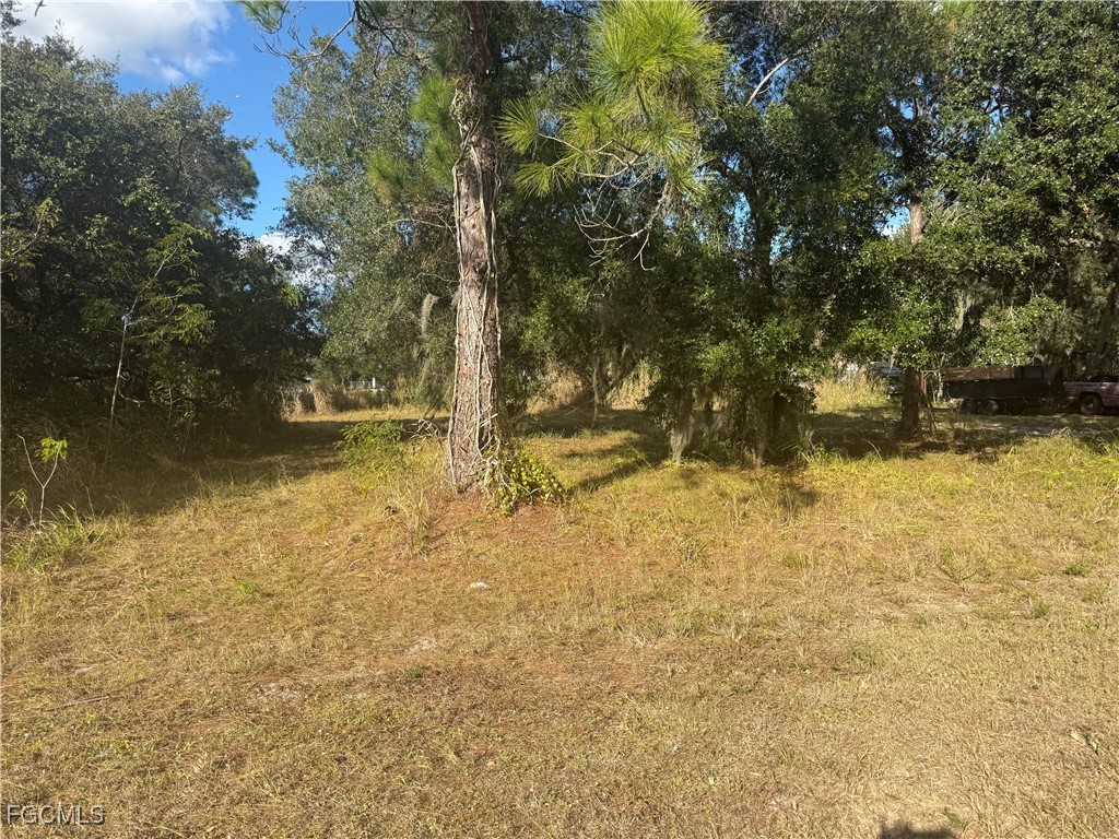 21521 Center Street Alva FL 33920 2025025724 image1