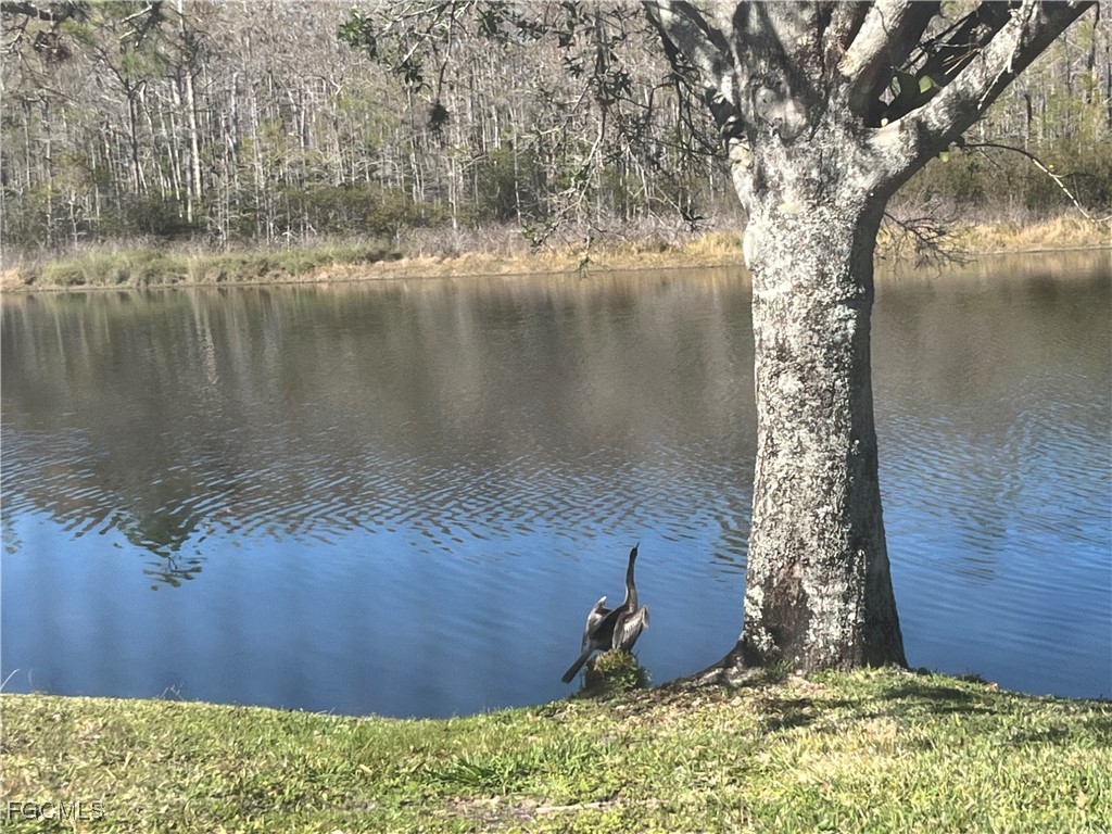 21524 Belhaven Way Estero FL 33928 2025018839 image45