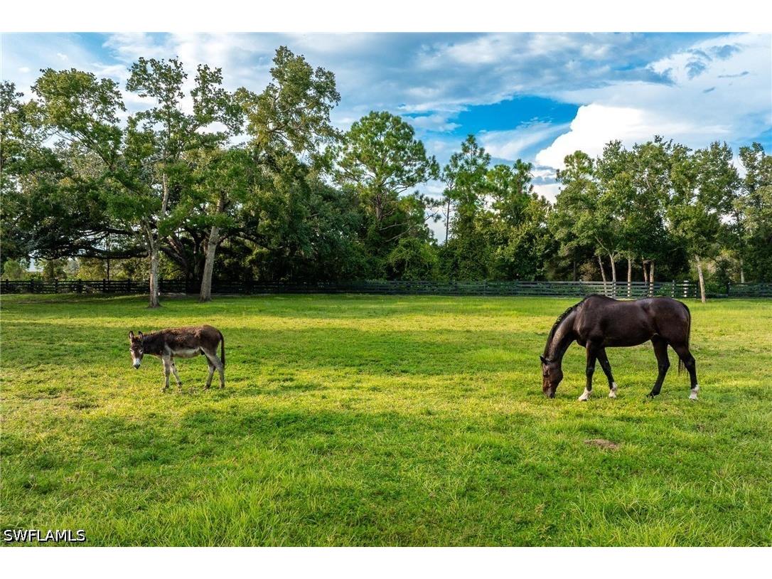 21531 N River Road Alva FL 33920 226013213 image24