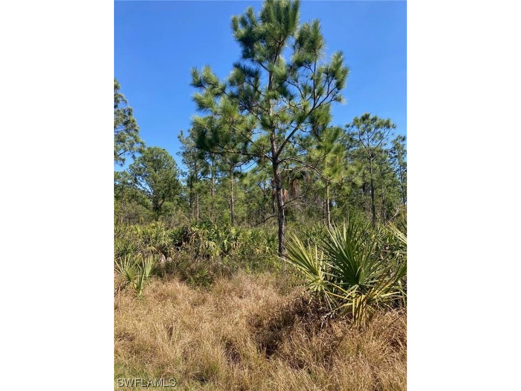 2155 Tampa Avenue Clewiston FL 33440 223010158 image1