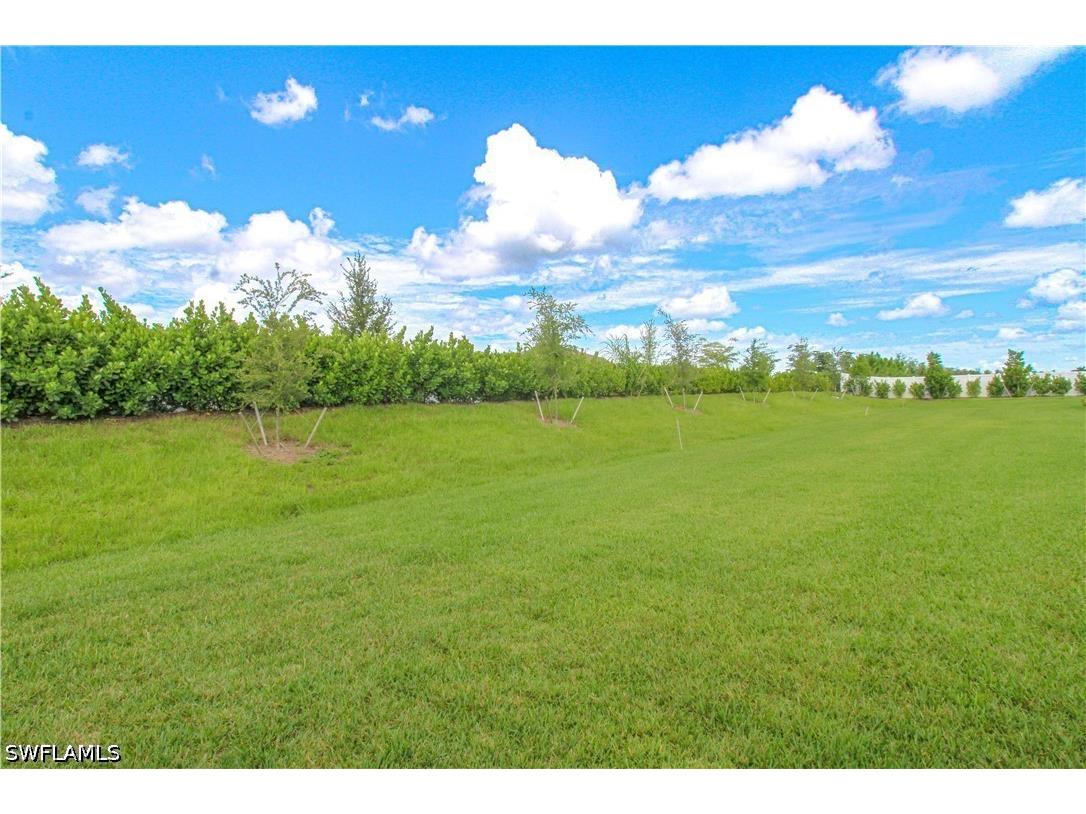2156 Dragonfruit Way Naples FL 34120 226016150 image21