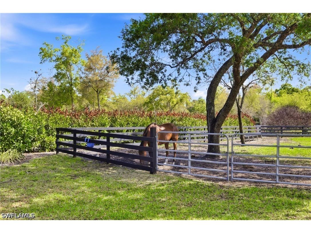 21571 N River Road Alva FL 33920 226013216 image44