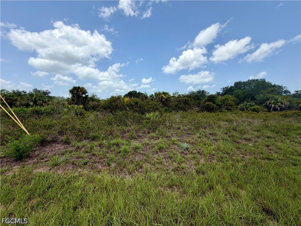 216 Moonlight Lane Labelle FL 33935 2026029546 image2