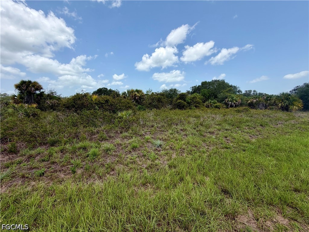 216 Moonlight Lane Labelle FL 33935 2026029546 image3