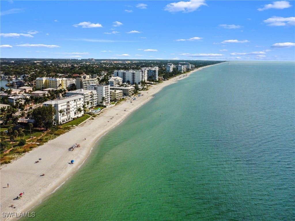 216 Spring Line Drive Naples FL 34102 225080881 image44