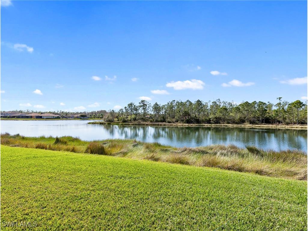 21633 Bella Terra Boulevard Estero FL 33928 226002110 image35